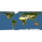 Discover Life: Point Map of Tegenaria dalmatica
